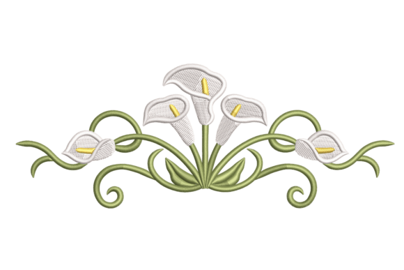 Calla Lily Border: Elegant, Effortless, and Ready for Real Projects